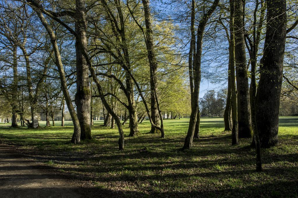 Chateau Des Briottieres Champigné Exteriér fotografie